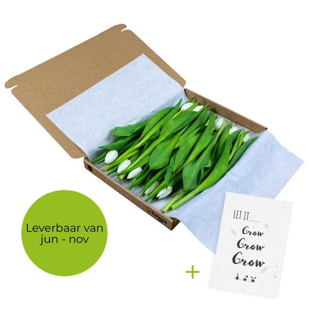 Tulips in giftbox | Eco promotional gift